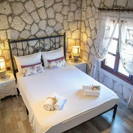 Kordelya 阿拉恰特